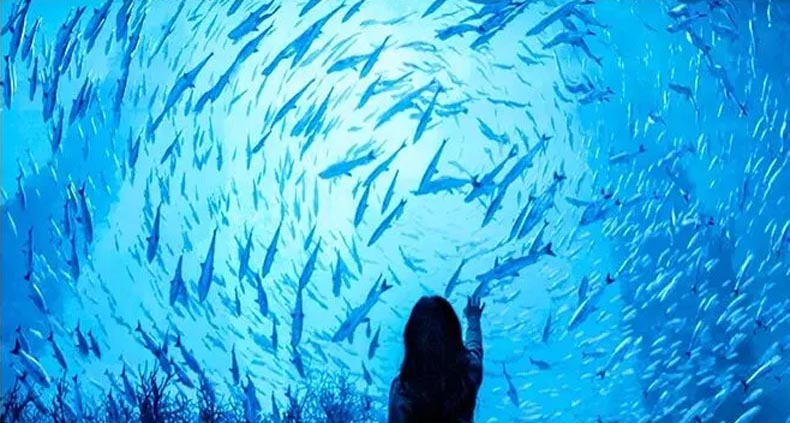 惊艳!深圳新晋“宝藏打卡点”,这场CAVE沉浸盛宴“屏”实力出圈 惊艳!深圳新晋“宝藏打卡点”,这场CAVE沉浸盛宴“屏”实力出圈