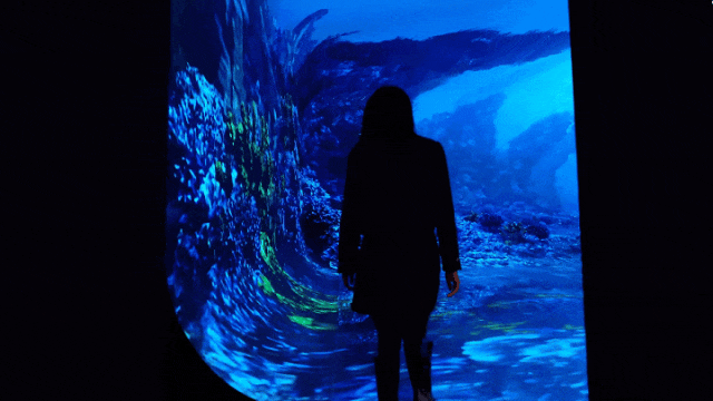 惊艳!深圳新晋“宝藏打卡点”,这场CAVE沉浸盛宴“屏”实力出圈 惊艳!深圳新晋“宝藏打卡点”,这场CAVE沉浸盛宴“屏”实力出圈