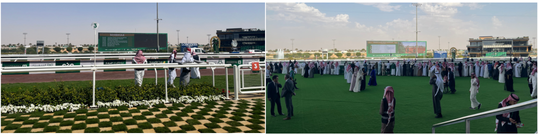 20年，100万㎡，深德彩2026年连出三招