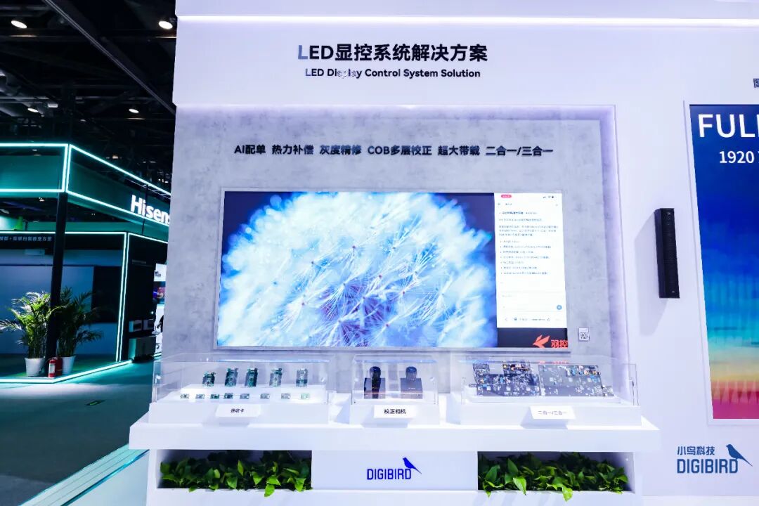 AI重新定义视界，国产掌控未来：小鸟科技于Infocomm China 2026呈现专业视听新范式